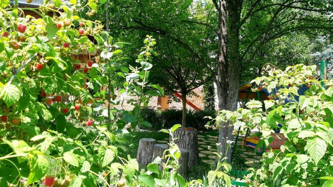 Maghay B&B Hotel In Vanadzor Exterior foto